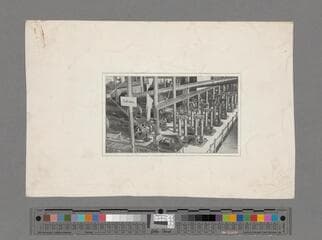 Go to image 47.