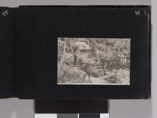 Go to image 91.