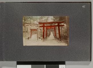 Go to image 47.