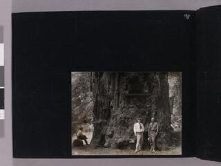 Go to image 100.