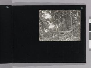 Go to image 83.