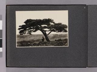 Go to image 8.