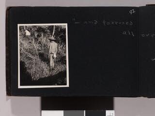 Go to image 84.