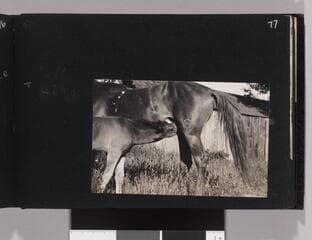 Go to image 79.