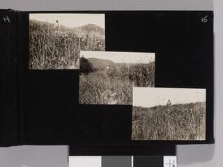 Go to image 17.