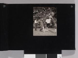 Go to image 23.