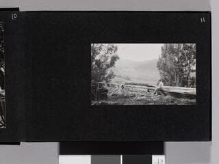 Go to image 13.