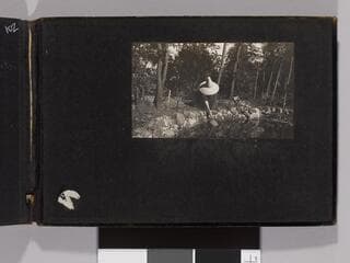 Go to image 105.