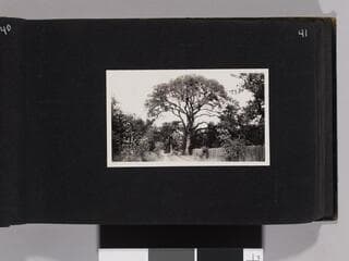 Go to image 43.