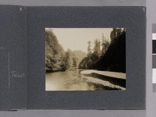 Go to image 11.