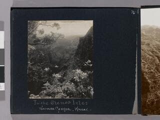 Go to image 78.