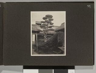 Go to image 61.