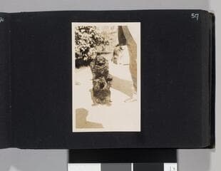 Go to image 59.