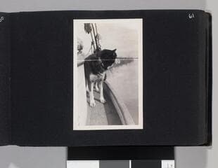 Go to image 63.