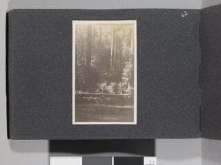 Go to image 64.