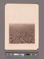 Go to image 1.