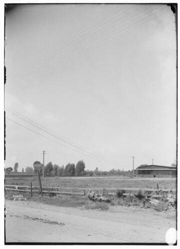 Distribution Lines