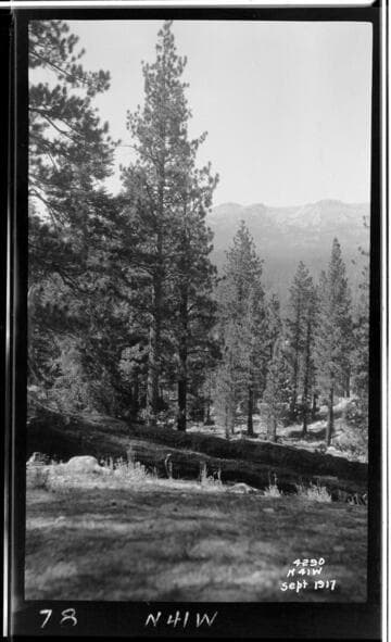 Big Creek Scenery