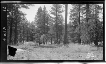 Big Creek Scenery