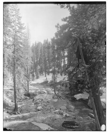 Big Creek Scenery