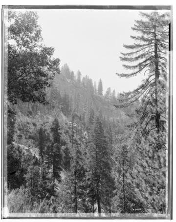 Big Creek Scenery