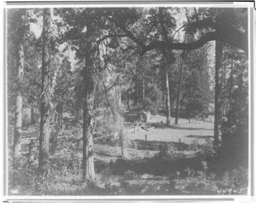 Big Creek Scenery