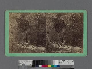 Go to image 1.