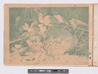 Go to image 15.