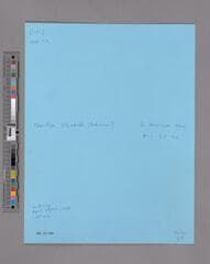 Go to image 5.