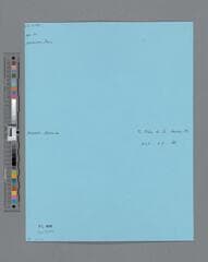 Go to image 5.