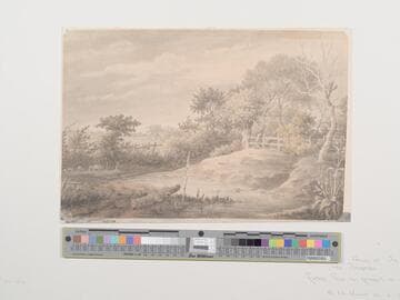 Landscape with Pigs