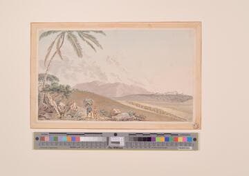 Indian Landscape