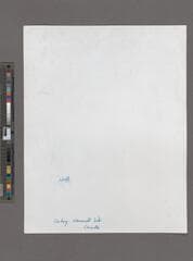 Go to image 41.