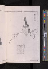 Go to image 262.