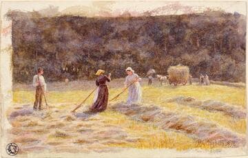Hayfield