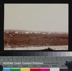 Go to image 1.