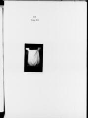 Go to image 168.