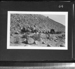 Go to image 66.