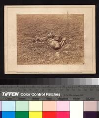 Go to image 1.