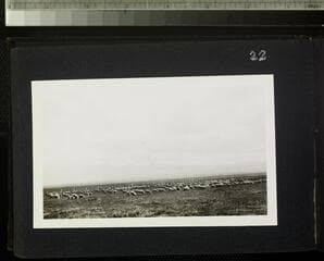 Go to image 24.