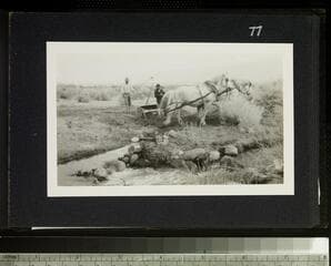 Go to image 79.