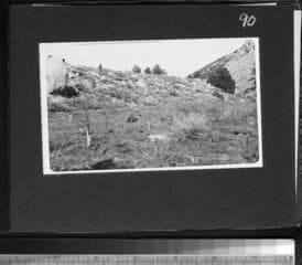 Go to image 92.
