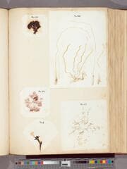 Go to image 46.