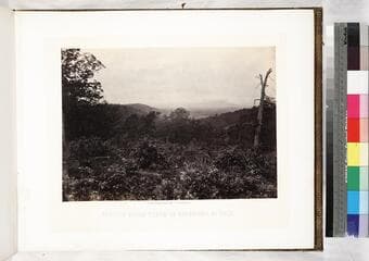 Go to image 18.