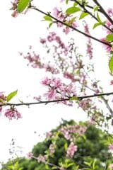 Go to image 4.