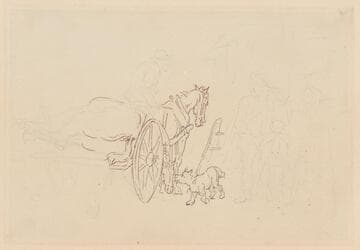 The Dead Horse