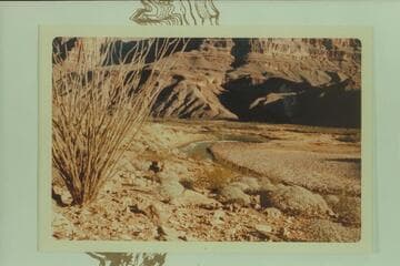 209 Mile Rapid