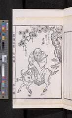 Go to image 117.