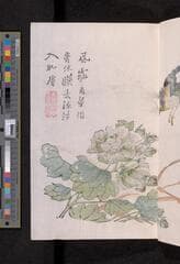 Go to image 287.