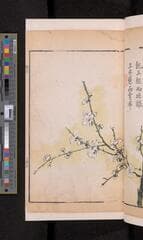 Go to image 307.